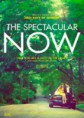 THE SPECTACULAR NOW
