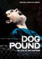 DOG POUND LA PERRERA